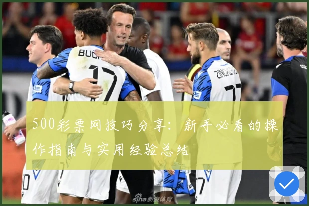 500彩票网技巧分享：新手必看的操作指南与实用经验总结