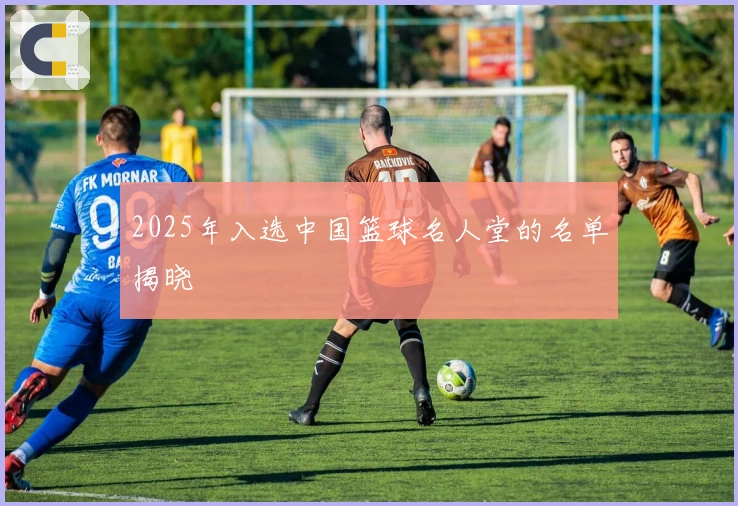 2025年入选中国篮球名人堂的名单揭晓