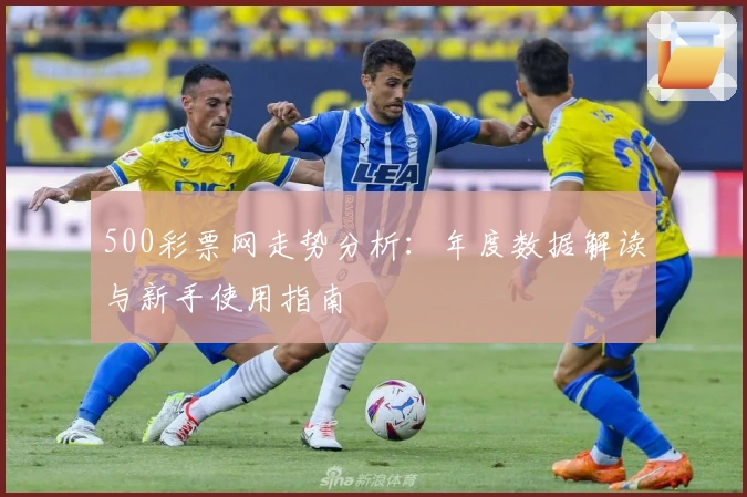 500彩票网走势分析：年度数据解读与新手使用指南